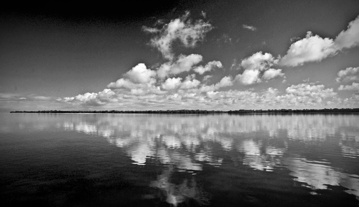 pine island florida fishing photography captain bill russell pine island photography
