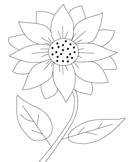 Free Coloring Pages Printable: Sunflower Coloring Pages Printable