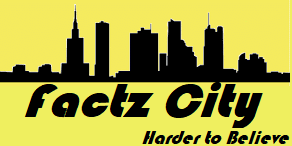 Interesting facts-Factz City