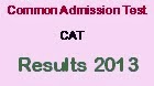 CAT Examination 2013 Results Declared Common Admission Test (CAT) Examination 2013 Results declared