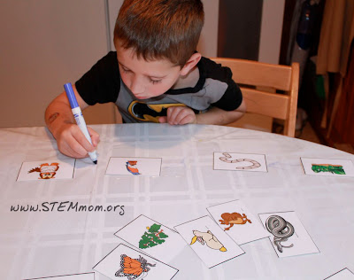 Boy drawing arrows in STEM Mom's Food Chain Activity