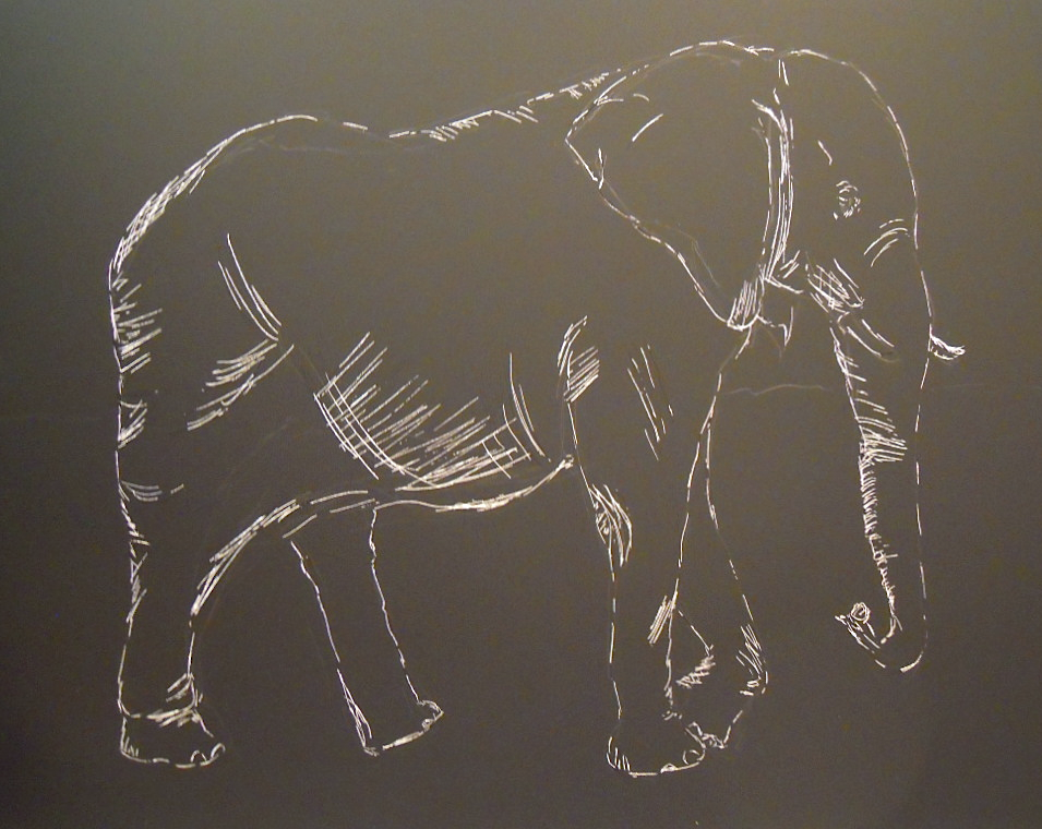 An Elephant a Day Elephant No. 290 Scratchboard