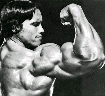 arnold schwarzenegger body now. arnold schwarzenegger body now