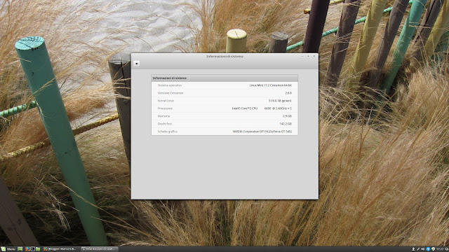 mint%2B17.2%2Bcinnamon