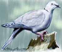 Collared Dove by ArtMagenta.com