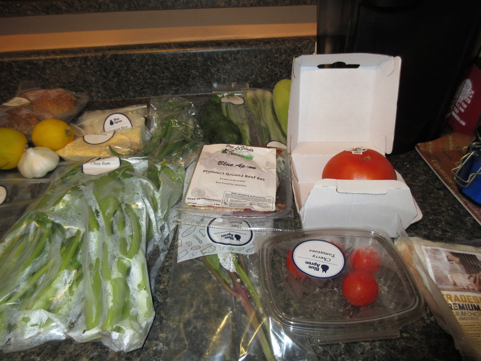 DIY or Dont Review on Blue Apron