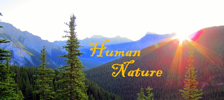 Human/Nature