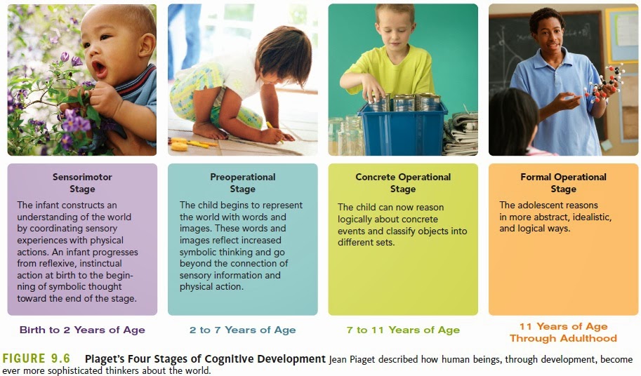 The Cognitive Stages Of Children