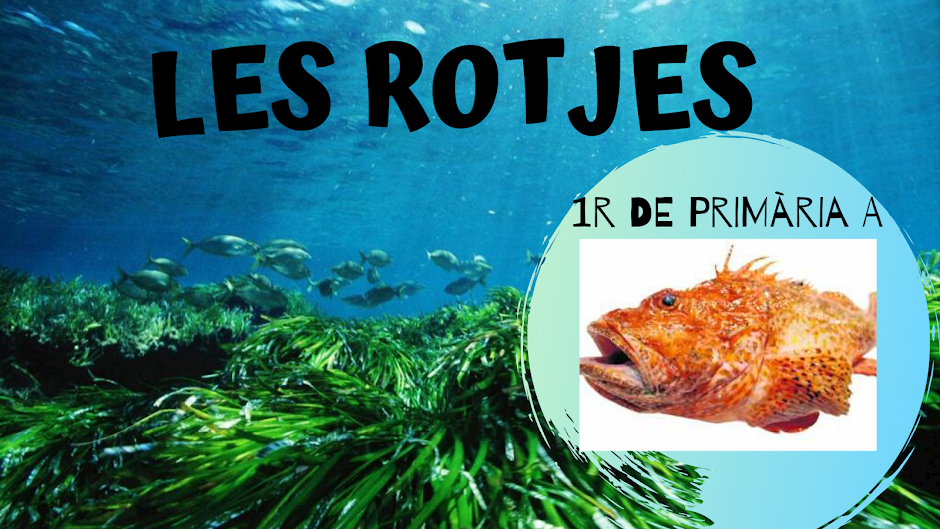 LES ROTJES