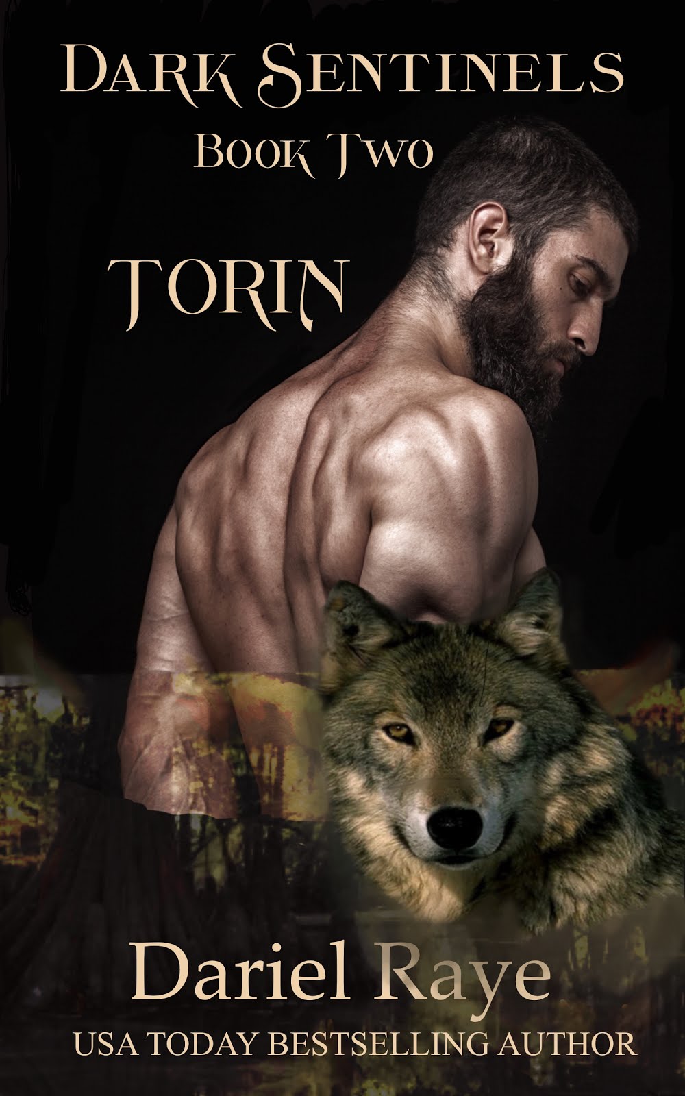 Dark Sentinels Book Two: Torin
