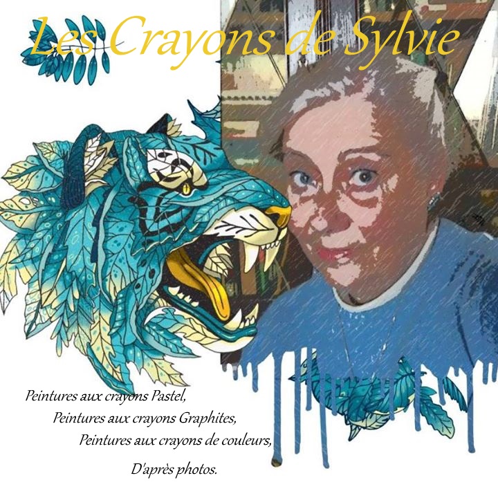 Les Crayons de Sylvie