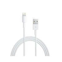 Optional Accessories For 5th Gen iPod Touch Lightning to USB