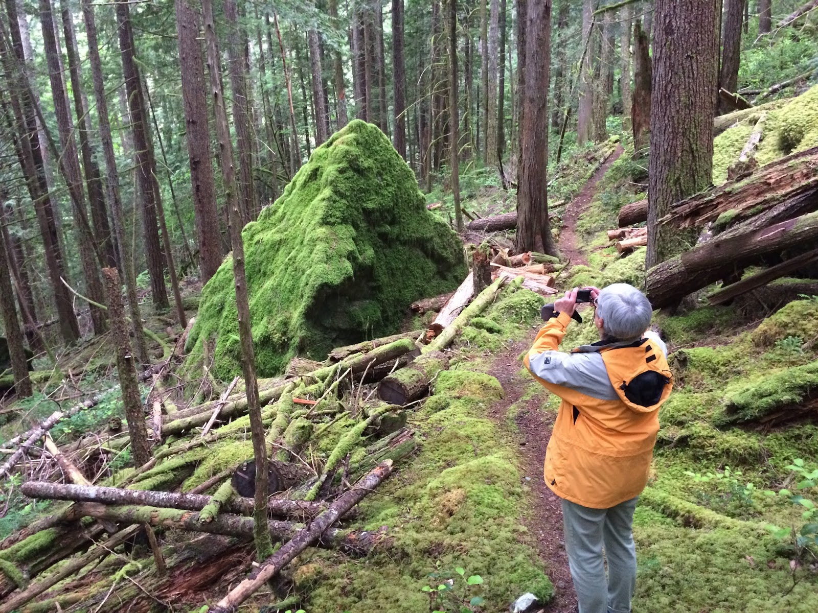 Marblemount Homestead Sad news