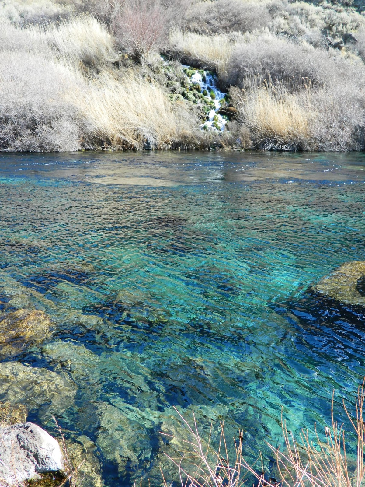 Living in Idaho Box Canyon Springs in February
