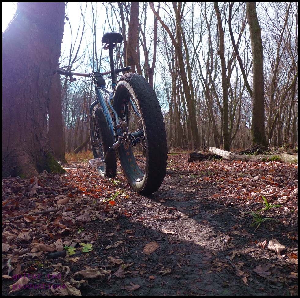 fat bike single track