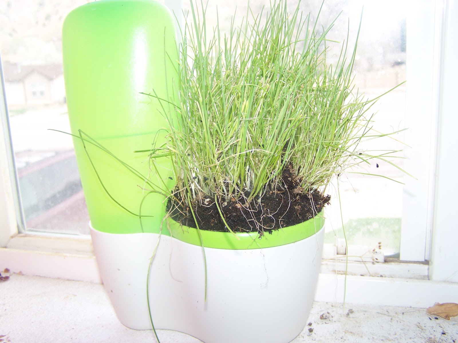 A to Z for Moms Like Me Tupperware Herb Planter