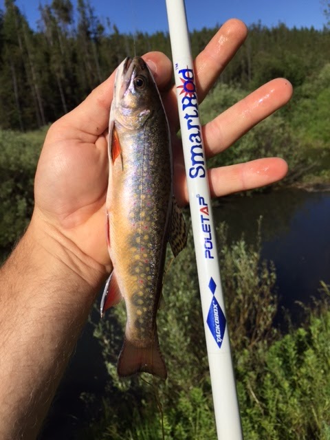 Idaho Pursuit: Smart Rod by Tackobox Gear Review