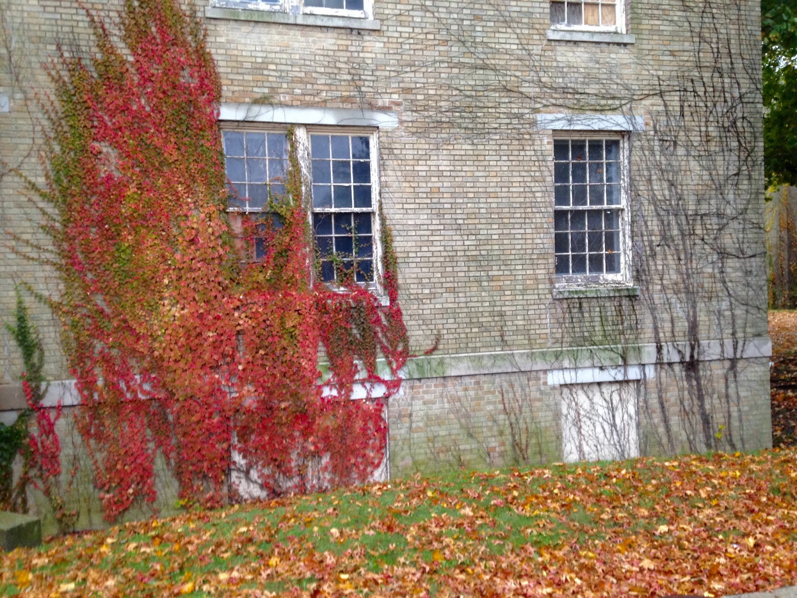 travels Creedmoor Psychiatric Center,Queens Village, Queens, New York