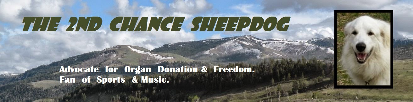 THE SECOND CHANCE SHEEPDOG