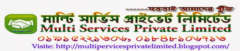 Multi Services Private Limited