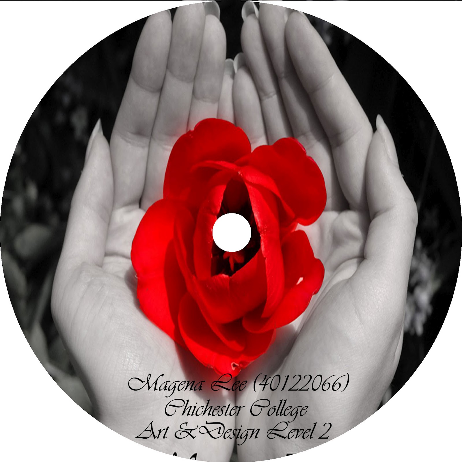 art graphics making cd cover label on photoshop making cd covers