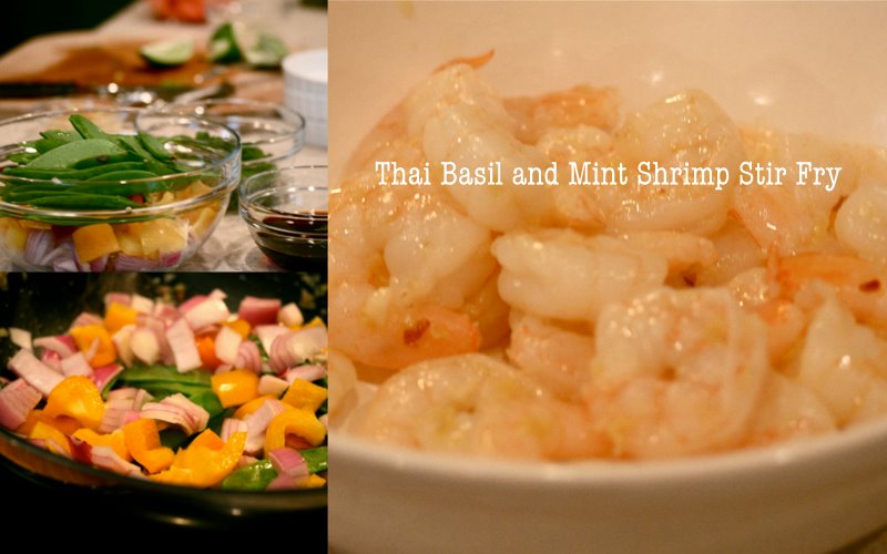 vita nostra Thai Basil and Mint Shrimp Stir Fry