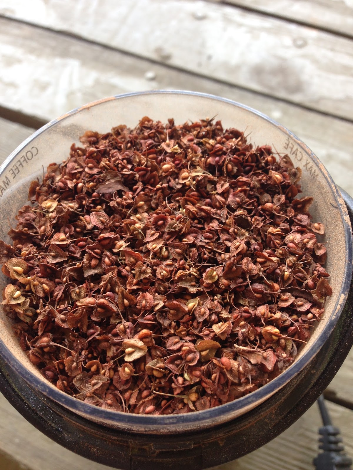 The Sparrow Chef Wild Food Recipes Yellow Dock Bread