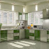 Kerala kitchen with green and white cabinets