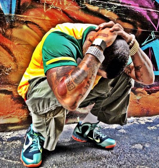 lebron cannons