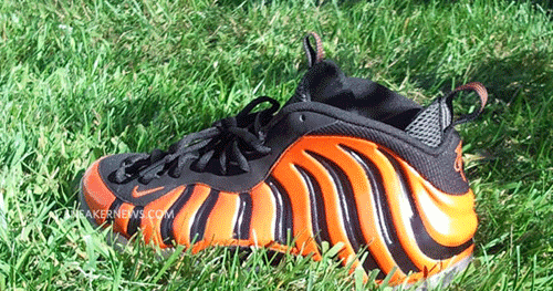 tiger foamposites