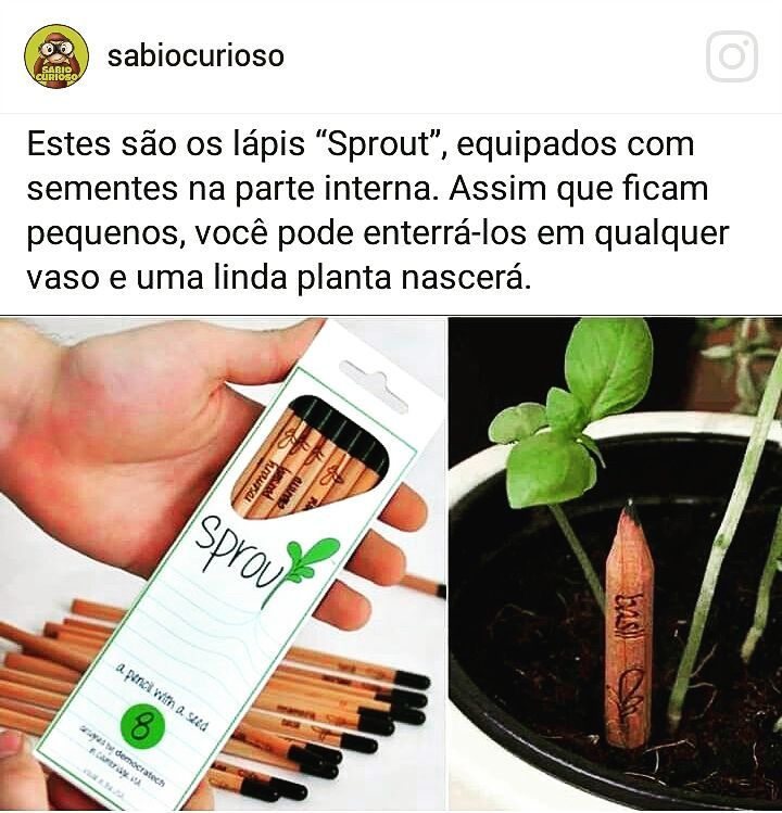 Lápis " Sprout ".