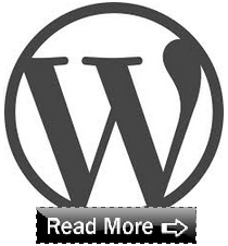 Read More Button in WordPress