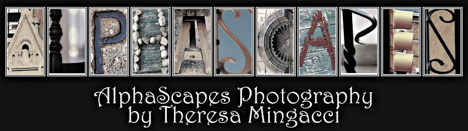 AlphaScapes Photography by Theresa Mingacci