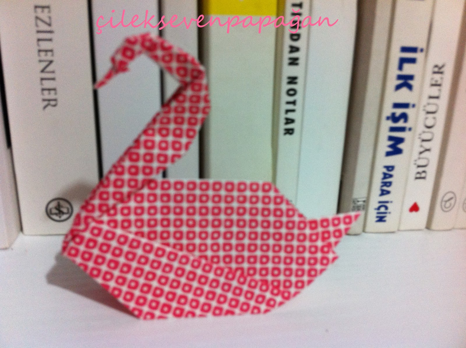 Cilek Seven Papagan Origami Kugu Hediyem