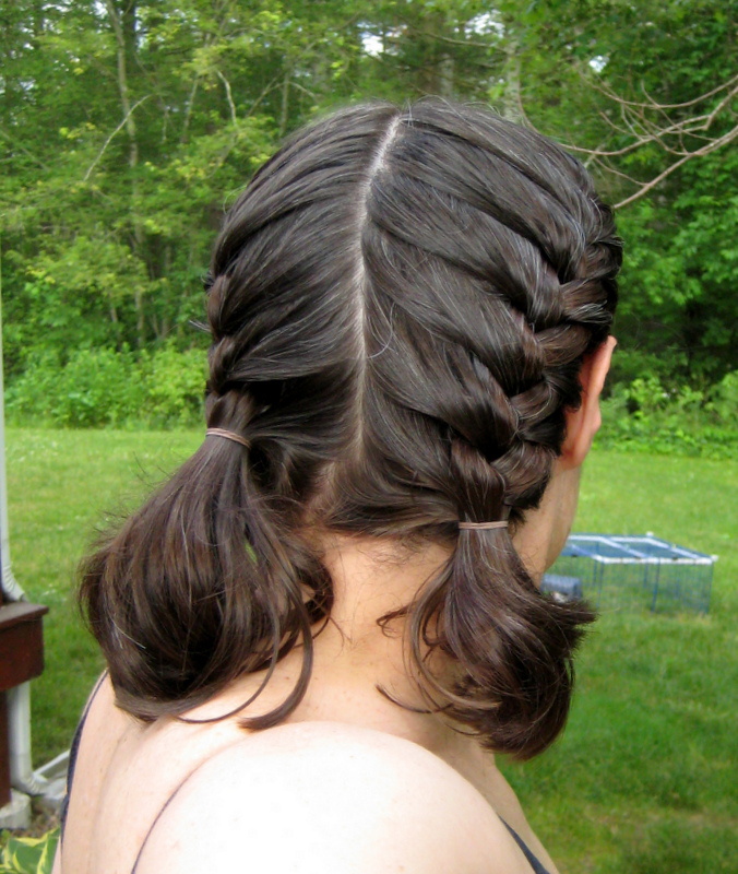 Crafts Cavies And Cooking Pigtails