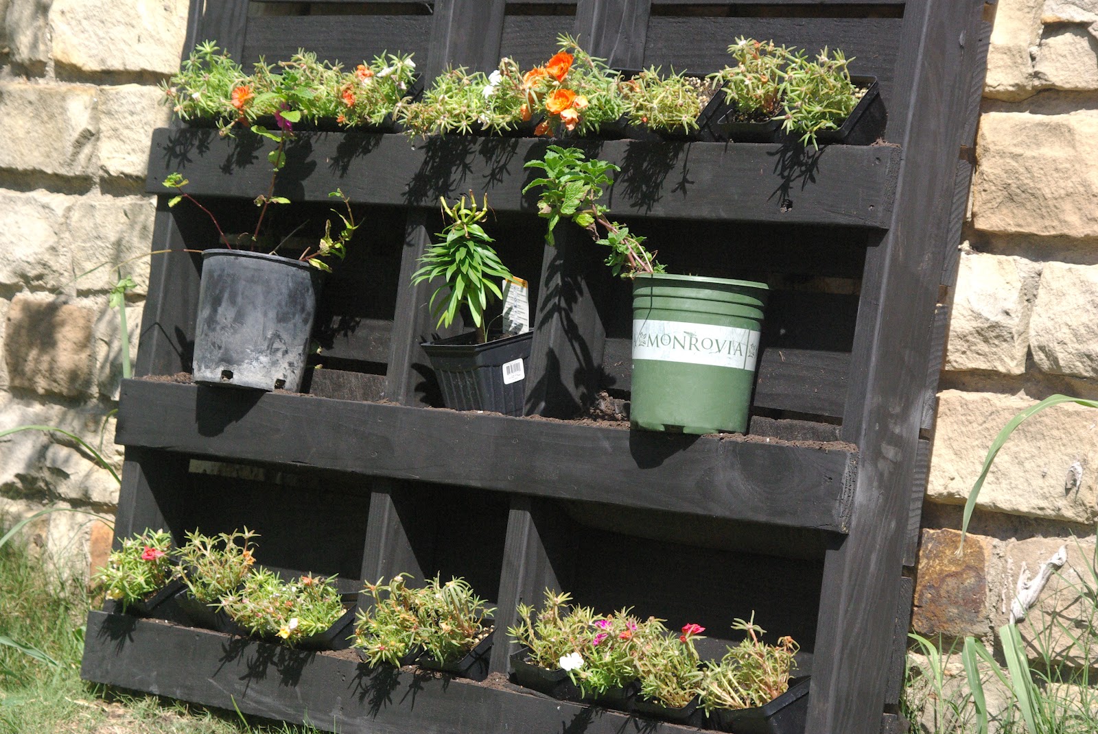 DIY Duffy: DIY Pallet Garden