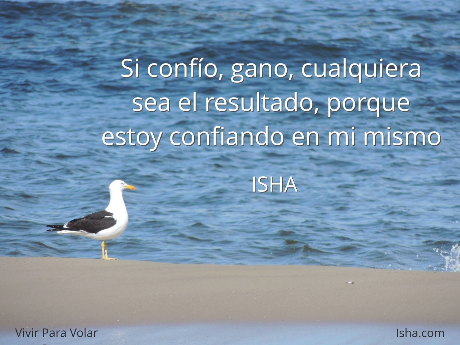 Resultado de imagen para vivir para volar frases