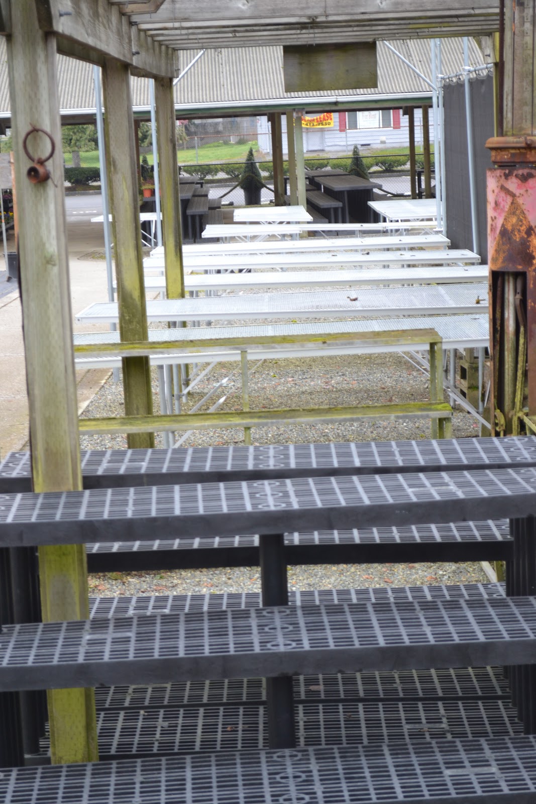 The Outlaw Gardener: Greetings from the Evergreen State