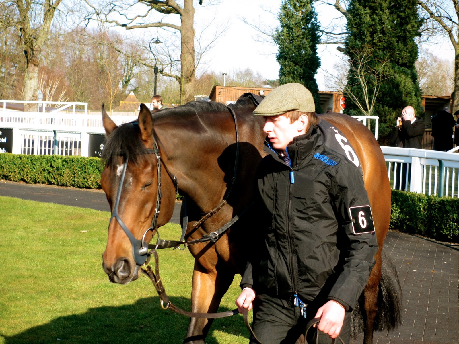 Can You Bet Each Way On A 4 Horse Race horse bet exacta box