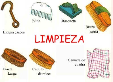 GANADO Y EQUINOS PUROS: octava entrada: CUIDADOS DEL CABALLO