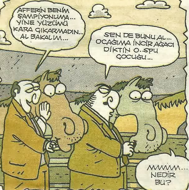 Komik Karikaturler 13 Ocagima Incir Agaci Diktin O C D D 18