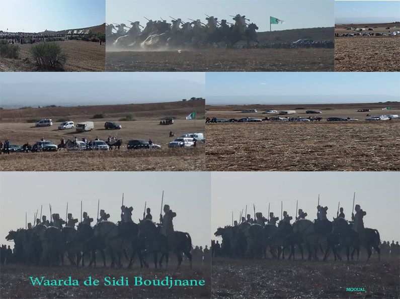 Waarda de Sidi Boudjnane