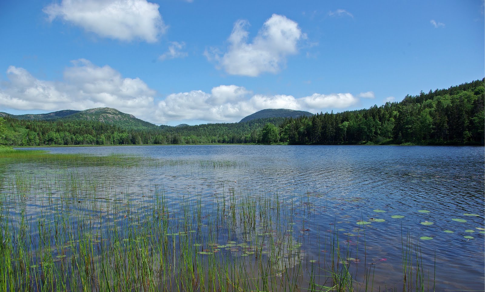 Hiking in Maine with Kelley 6/27/11 Little Long Pond Area