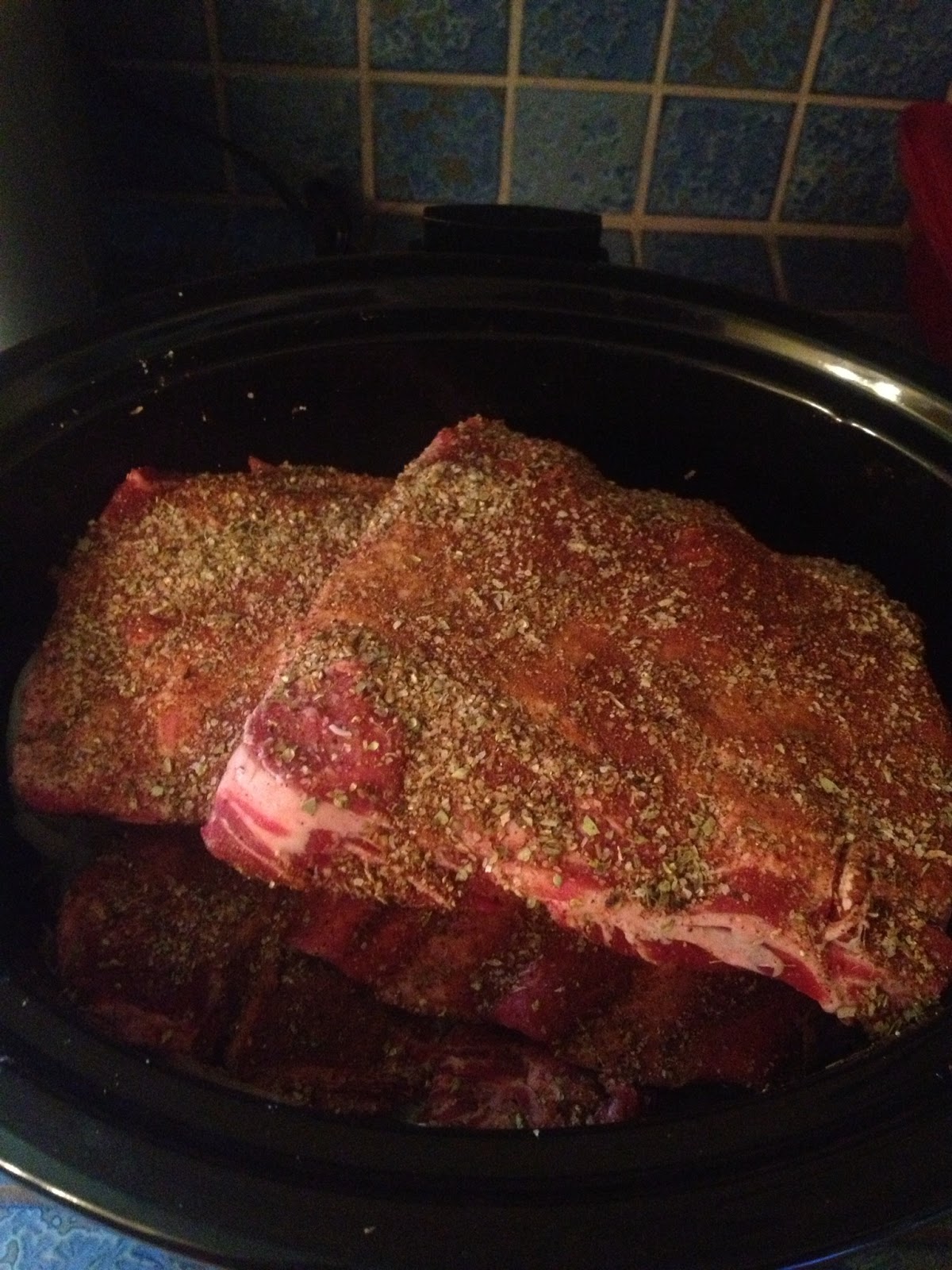 The Paleo Plunge Beef Ribs with a Dry Rub