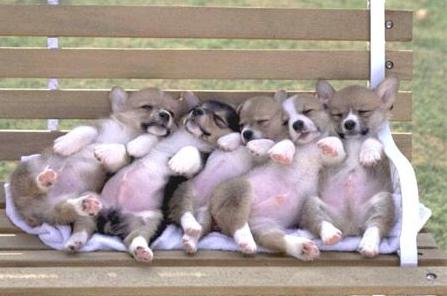 relaxing_Sunday_in_the_park.jpg