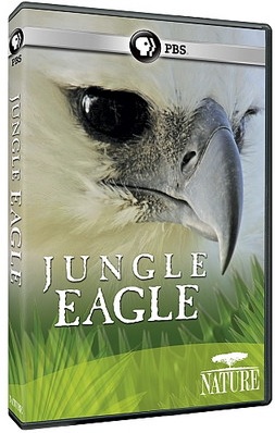 jungle eagle