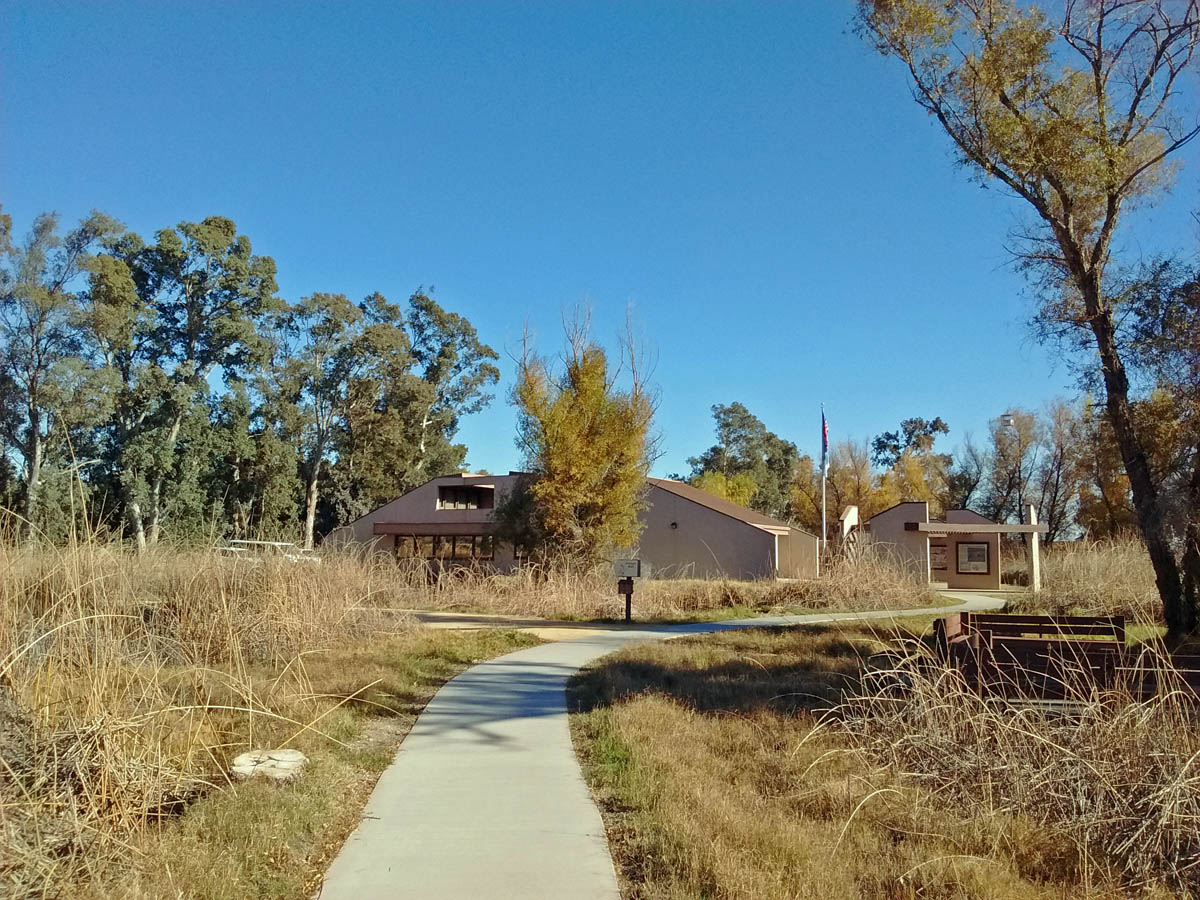 A visit to Sacramento National Wildlife Refuge - Greg in San Diego