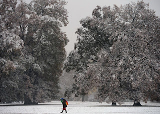  صور رائعة للثلوج تزور ألمانيا باكراً  1+%2830%29