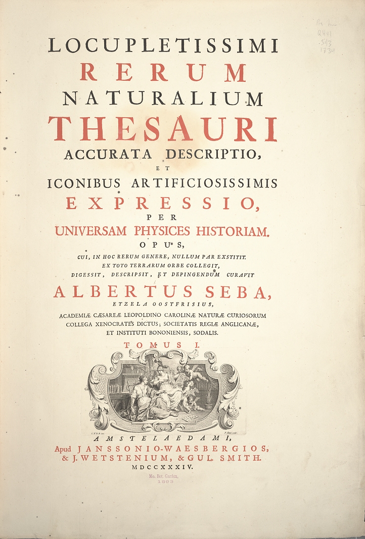 what is another word for thesaurus word what is another word for thesaurus word
