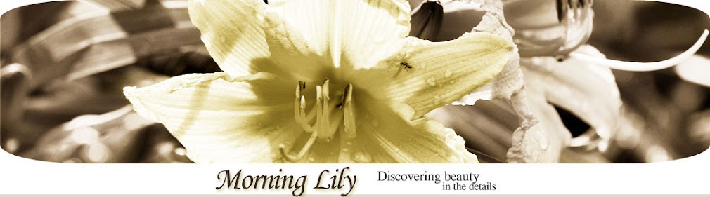 Morning Lily